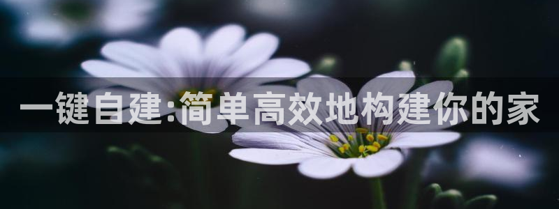 安信12娱乐7o777还：一键自建:简单高效地构建你的家