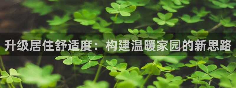 安信可12f