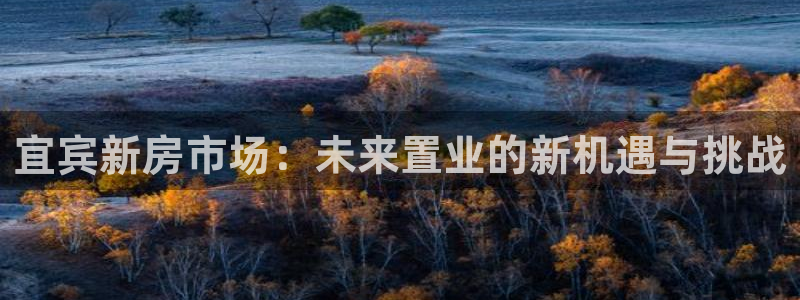 安信12娱乐开户：宜宾新房市场：未来置业的新机遇与挑战