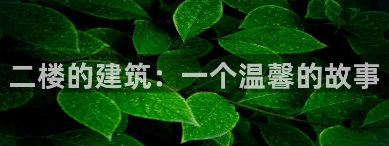 安信12怎么注册：二楼的建筑：一个温馨的故事