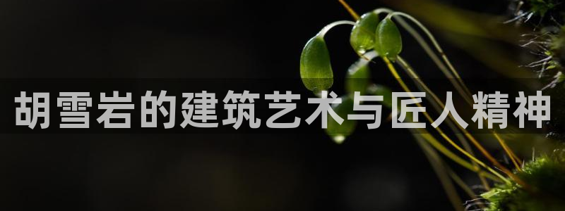 安信锐赢134号12月：胡雪岩的建筑艺术与匠人精神