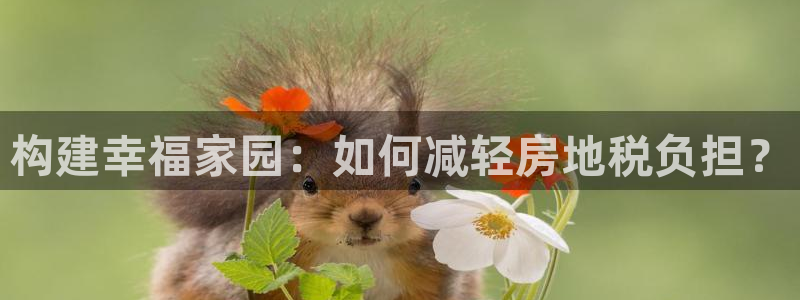 安信主管su金12手12指tq：构建幸福家园：如何减轻房地税负担？