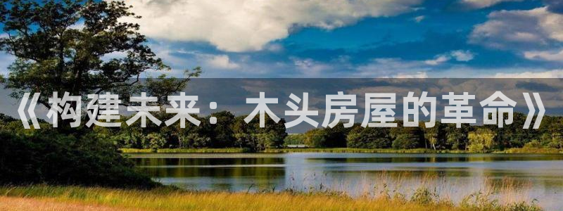 安信12专用挂机