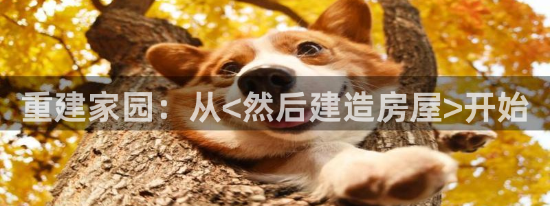 安信12月金股：重建家园：从<然后建造房屋>开始