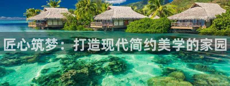 安信12级粉丝团福利：匠心筑梦：打造现代简约美学的家园
