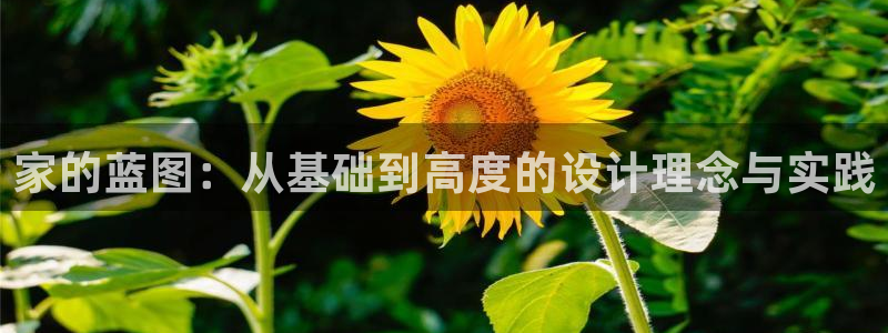 安信12周年