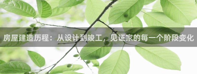 安信安翼 12账号