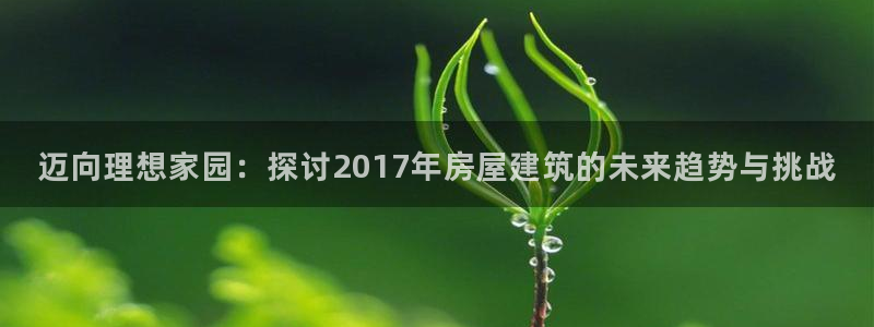 安信12官网qq：迈向理想家园：探讨2017年房屋建筑的未来趋势与挑战