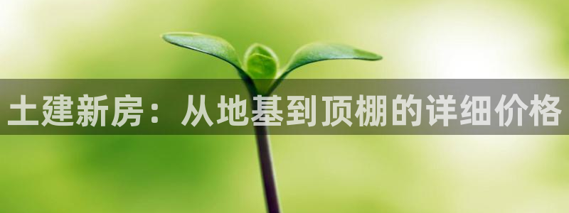 安信4娱乐去55 12：土建新房：从地基到顶棚的详细价格