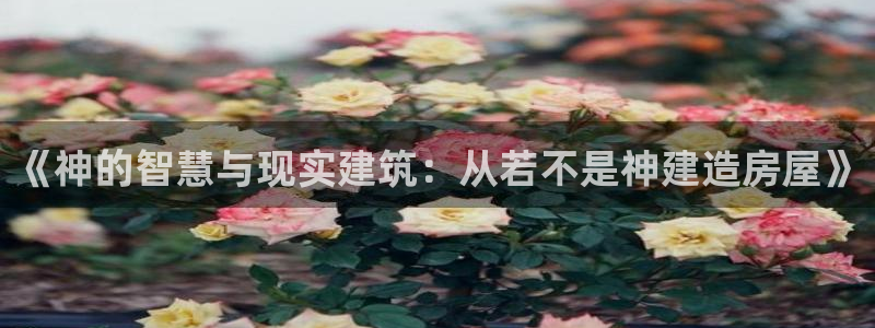 安信esp12k：《神的智慧与现实建筑：从若不是神建造房屋》