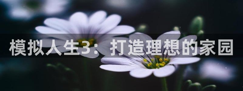 安立信12改装：模拟人生3：打造理想的家园