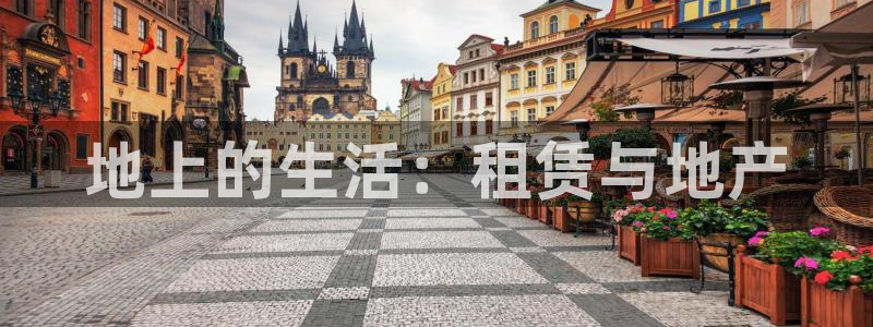 信安12乐打棒：地上的生活：租赁与地产