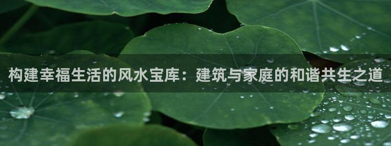 安信可12f代码：构建幸福生活的风水宝库：建筑与家庭的和谐共生之道
