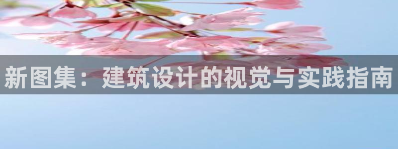 安信12是什么：新图集：建筑设计的视觉与实践指南