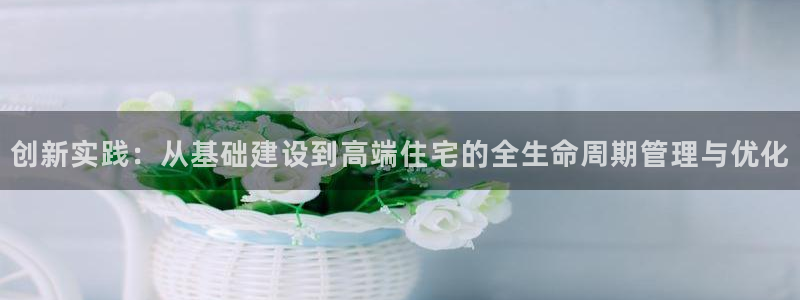 安信12娱乐：创新实践：从基础建设到高端住宅的全生命周期管理与优化