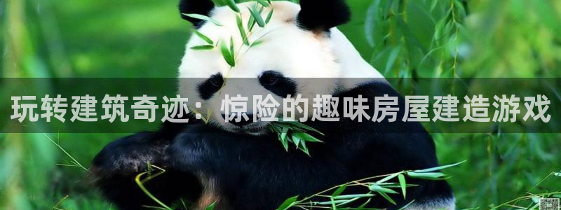 安信12娱乐开户：玩转建筑奇迹：惊险的趣味房屋建造游戏