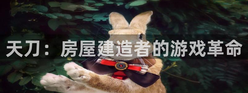 安信12app：天刀：房屋建造者的游戏革命