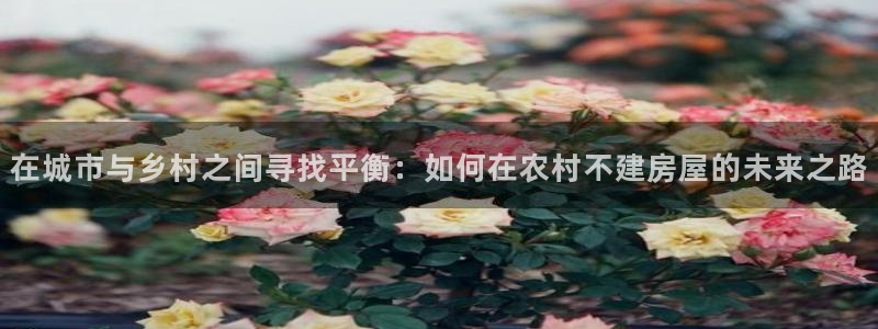 安信12真假：在城市与乡村之间寻找平衡：如何在农村不建房屋的未来之路