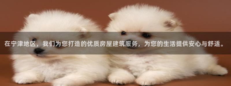 安信证券 12位：在宁津地区，我们为您打造的优质房屋建筑服务，为您的生活提供安心