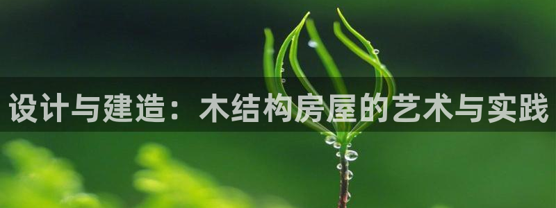 安信可12e12f：设计与建造：木结构房屋的艺术与实践