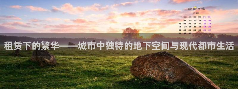 信安12：租赁下的繁华——城市中独特的地下空间与现代都市生活