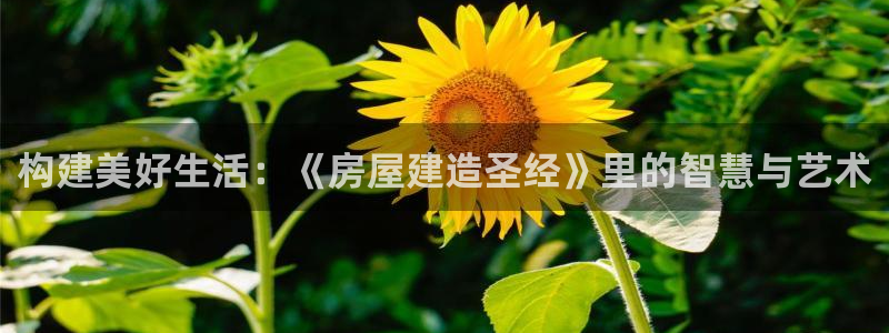 安信12娱乐招商：构建美好生活：《房屋建造圣经》里的智慧与艺术