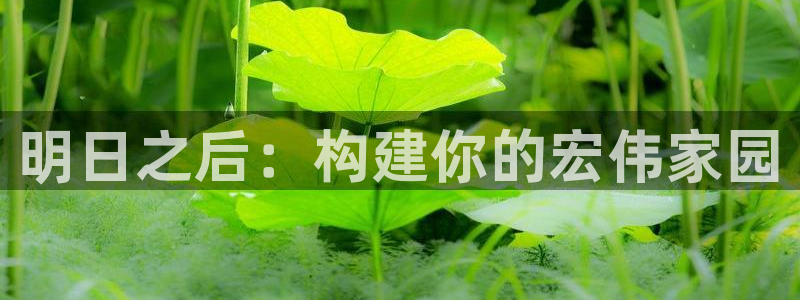 安信12注册登录：明日之后：构建你的宏伟家园