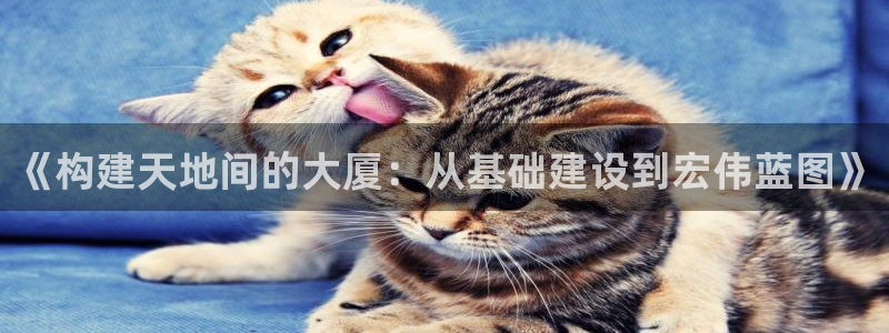 安信12包赔：《构建天地间的大厦：从基础建设到宏伟蓝图》