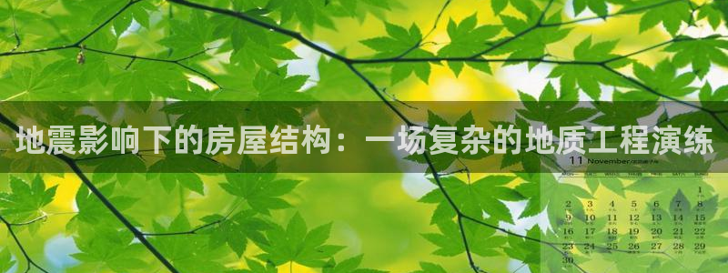 安信12官网qq：地震影响下的房屋结构：一场复杂的地质工程演练
