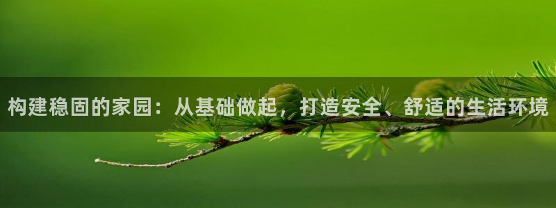 安信12位资金账号：构建稳固的家园：从基础做起，打造安全、舒适的生活环境