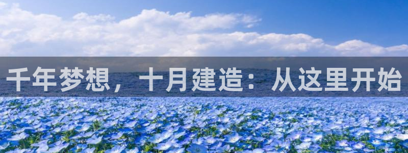 安信安盈12最新消息