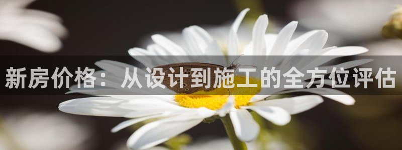 安信12主管：新房价格：从设计到施工的全方位评估