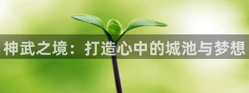 安信12娱乐登录网页：神武之境：打造心中的城池与梦想