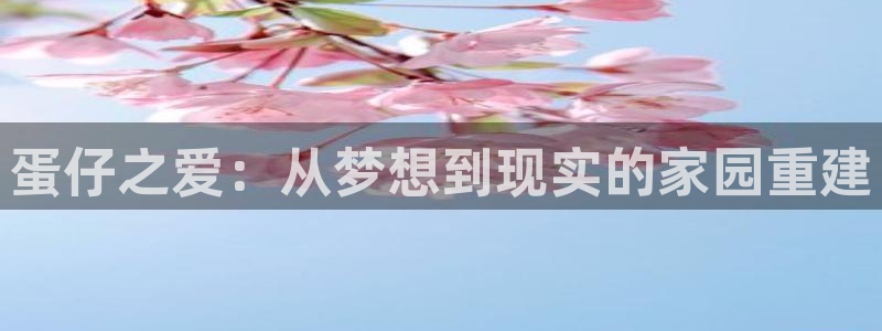 安信可f12