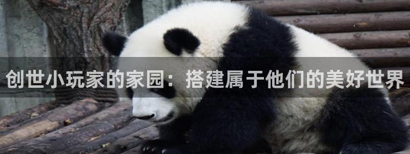 安信12招商：创世小玩家的家园：搭建属于他们的美好世界