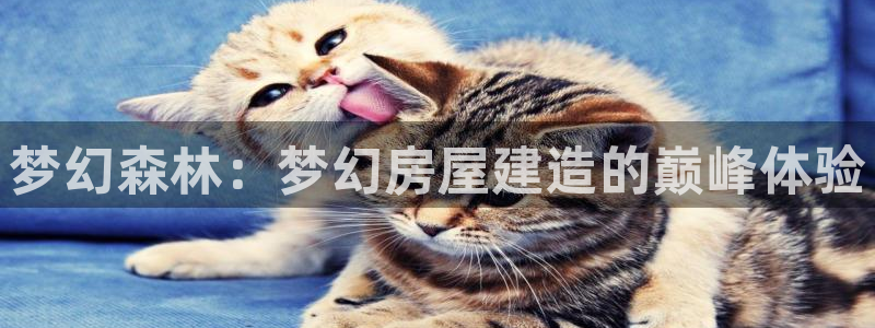 安信证券手机壳12：梦幻森林：梦幻房屋建造的巅峰体验
