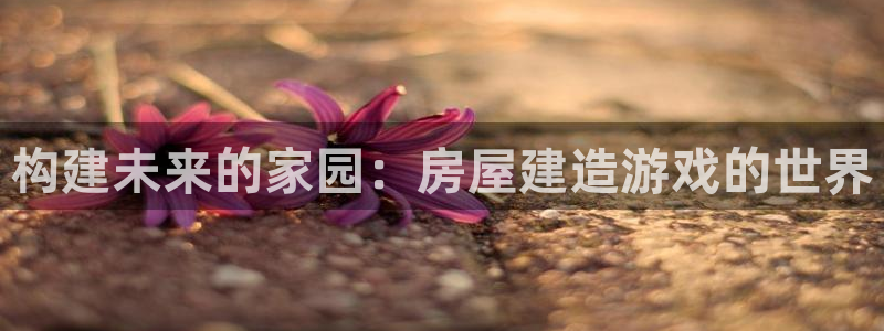 安信12娱乐平台：构建未来的家园：房屋建造游戏的世界