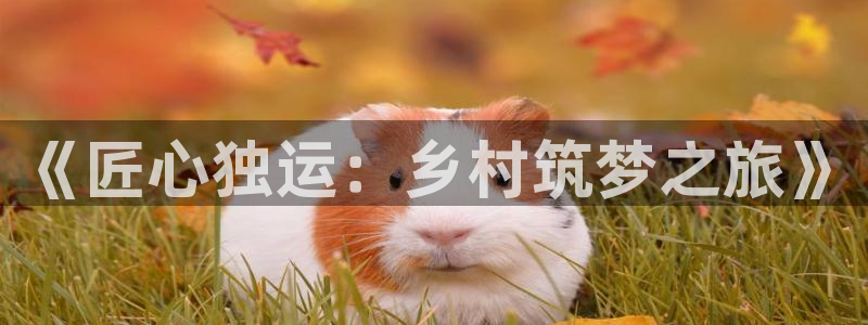 安信12app下载：《匠心独运：乡村筑梦之旅》