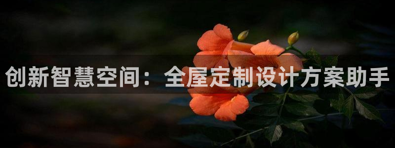安信12娱乐平台