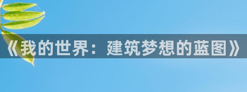 安信12级粉丝团福利