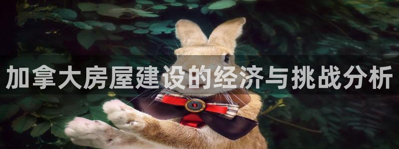 安信12招商：加拿大房屋建设的经济与挑战分析