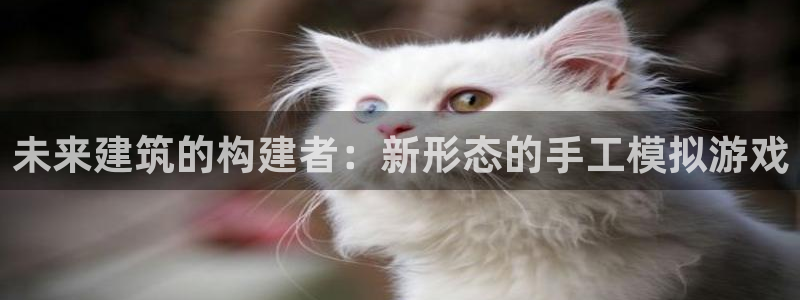安信12登录网址：未来建筑的构建者：新形态的手工模拟游戏