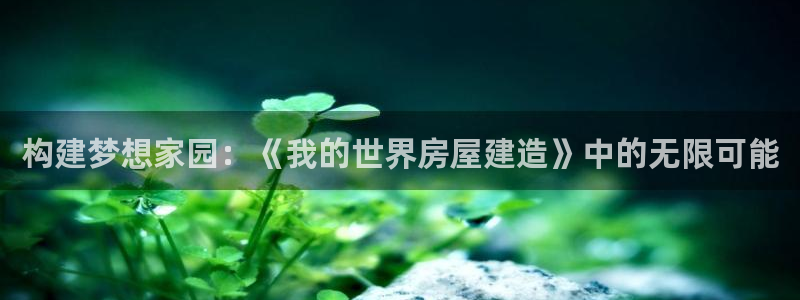 安信12级：构建梦想家园：《我的世界房屋建造》中的无限可能