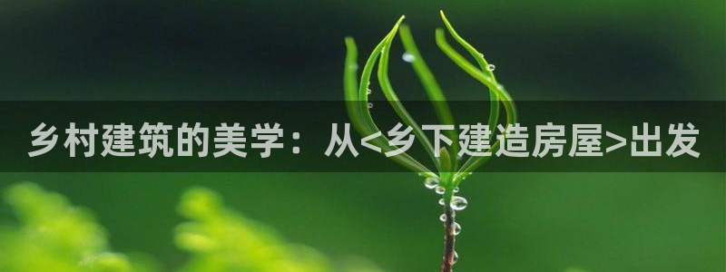 安信 12：乡村建筑的美学：从<乡下建造房屋>出发
