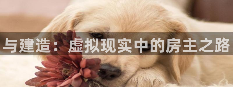 安信12注册登录：与建造：虚拟现实中的房主之路