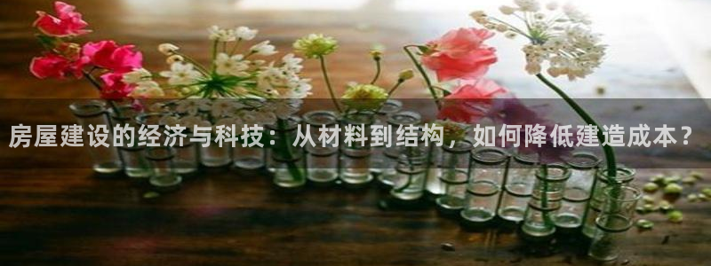 安信12负责人：房屋建设的经济与科技：从材料到结构，如何降低建造成本？