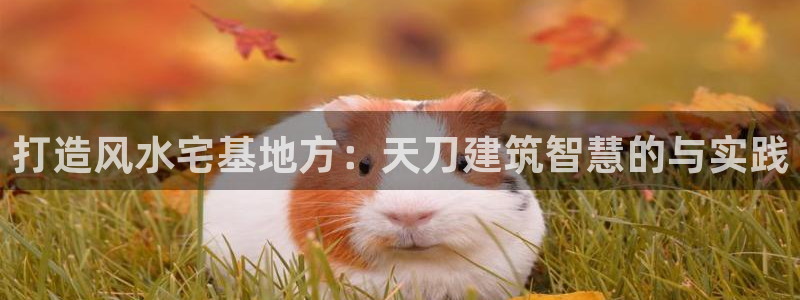 安信12娱乐登录网页：打造风水宅基地方：天刀建筑智慧的与实践
