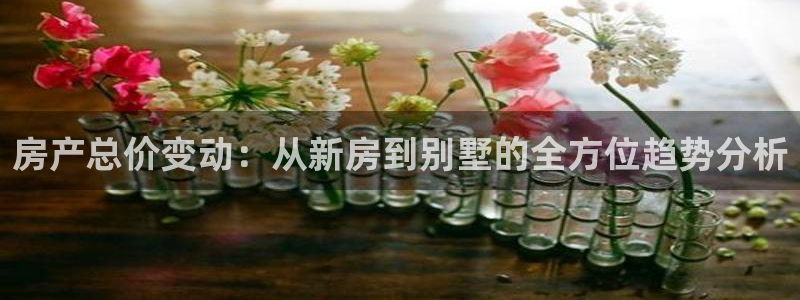 安信12负责人：房产总价变动：从新房到别墅的全方位趋势分析