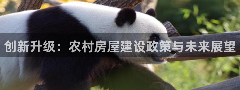 安信12娱乐代理：创新升级：农村房屋建设政策与未来展望