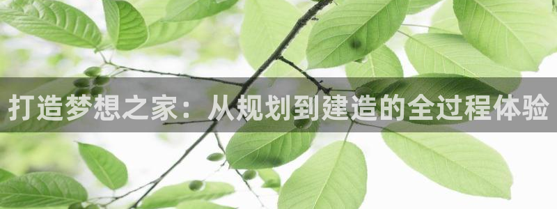 安信12是正规平台吗：打造梦想之家：从规划到建造的全过程体验